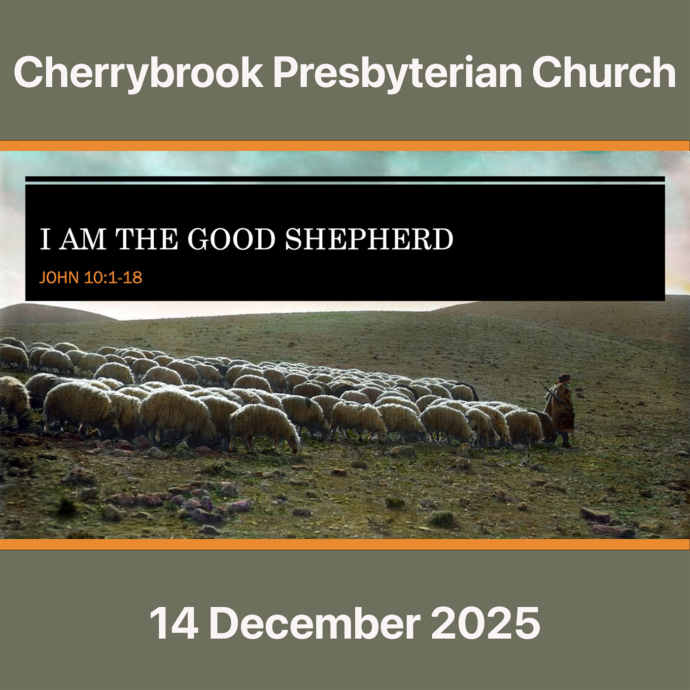 I AM the Good Shepherd